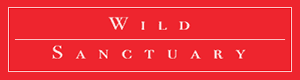 The Wild Store