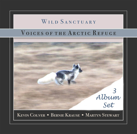 Voice Of The Arctic Refuge