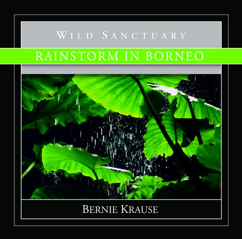 Rainstorm In Borneo
