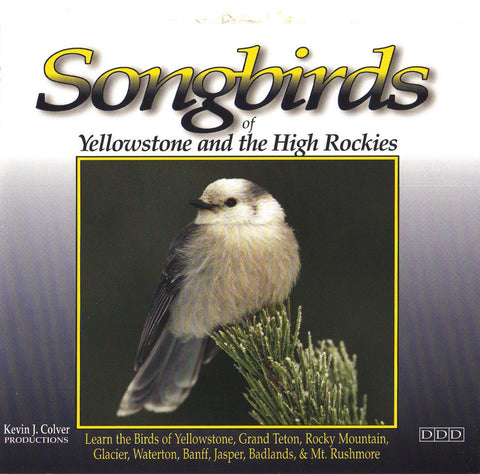 Songbirds Of Yellowstone And The High Rockies