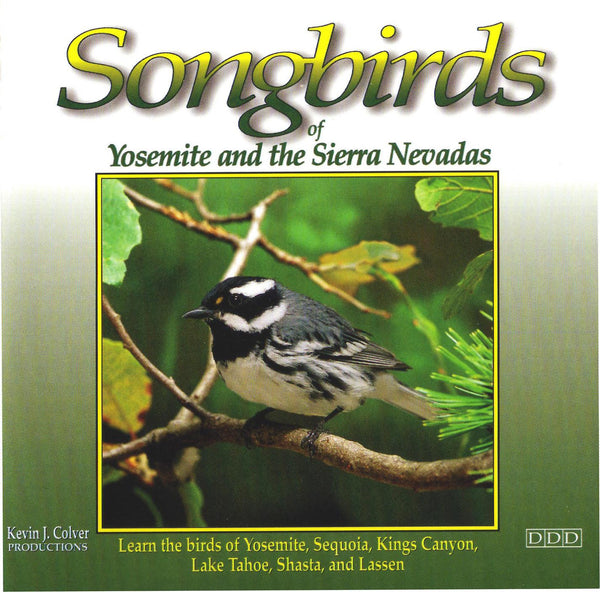 Songbirds Of Yosemite And The Sierra Nevadas